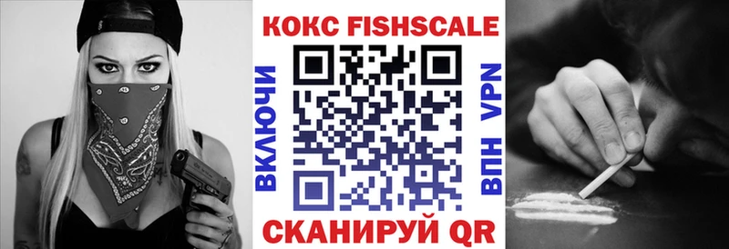 COCAIN VHQ  Купить где  Короча 