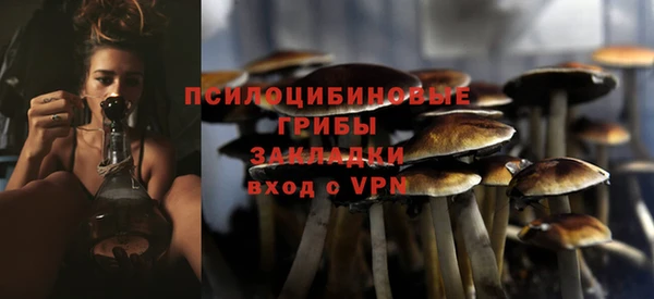 а пвп мука Инта