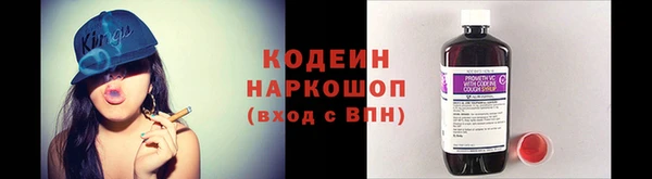 крисы Инсар