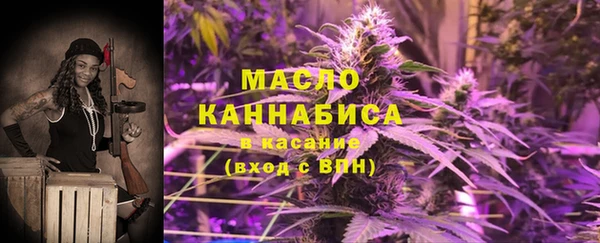 крисы Инсар