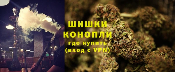крисы Инсар
