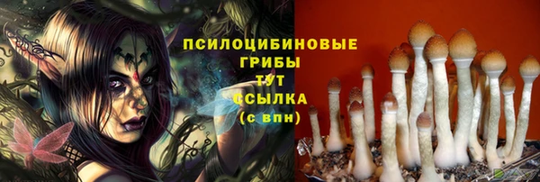 а пвп мука Инта