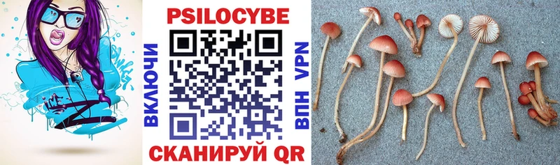 Купить закладки  Короча  Галлюциногенные грибы Cubensis 